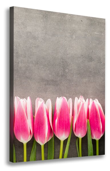 Vászonkép nyomtatás Rózsaszín tulipánok