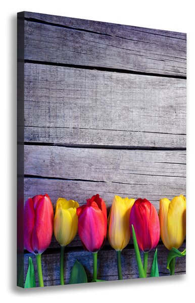 Vászonkép nyomtatás Színes tulipán