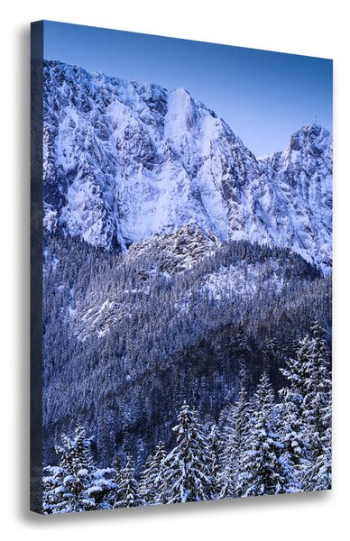 Feszített vászonkép Tátra giewont