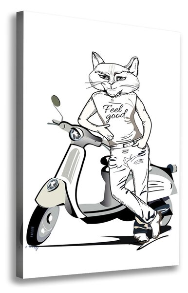 Vászonkép Cat férfi