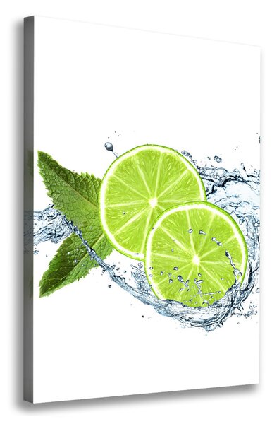 Fali vászonkép Limes