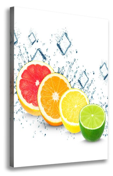 Fali vászonkép Citrusfélék