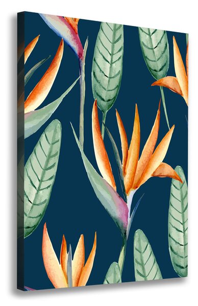 Egyedi vászonkép Strelitzia reginae