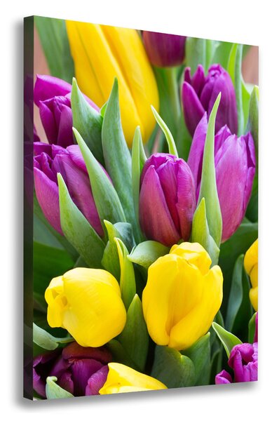 Vászonkép nyomtatás Színes tulipán