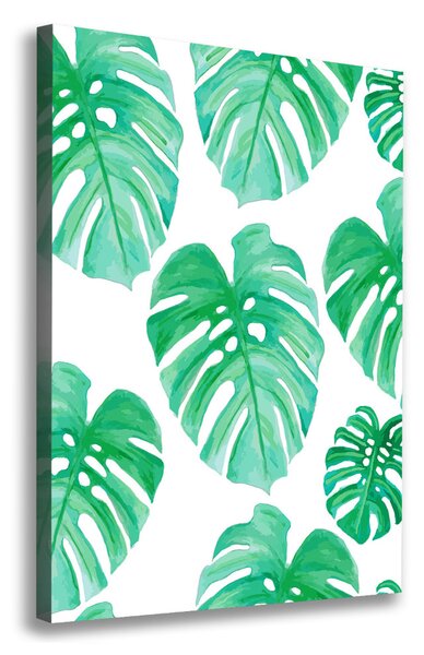 Egyedi vászonkép Monstera