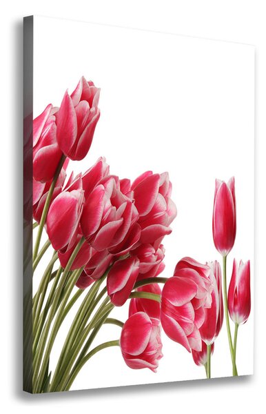 Vászonkép nyomtatás Piros tulipánok
