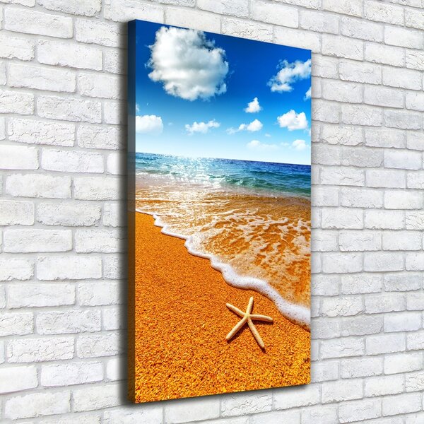 Feszített vászonkép Starfish a strandon