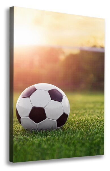Vászonfotó Futball
