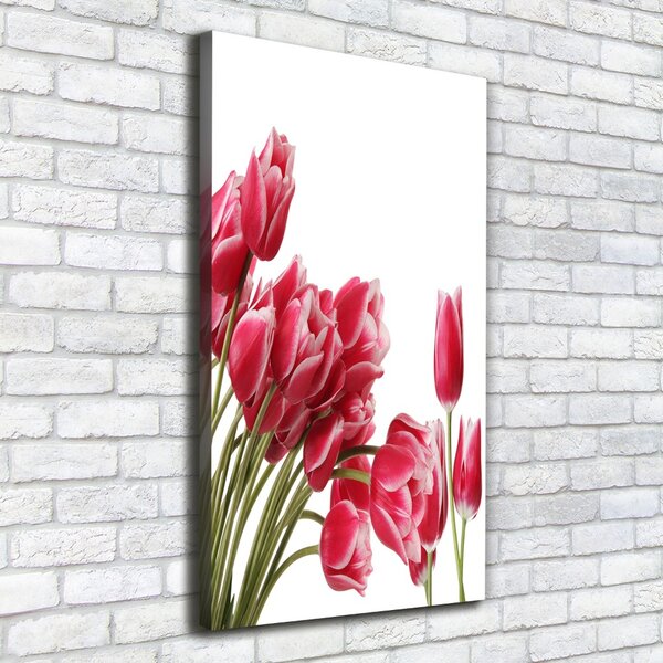 Vászonkép nyomtatás Piros tulipánok