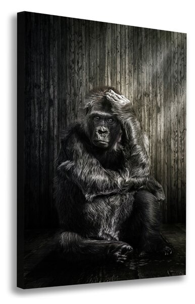 Vászonkép Gorilla