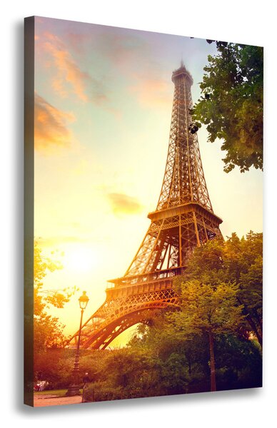 Vászonfotó Párizsi eiffel-torony