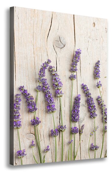 Vászonkép nyomtatás Lavender fa