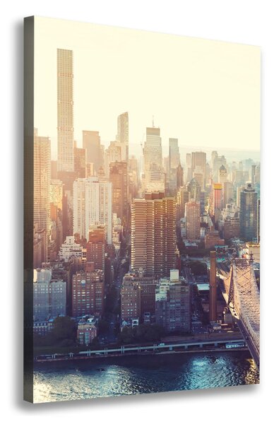 Vászonfotó New york-i járat madár