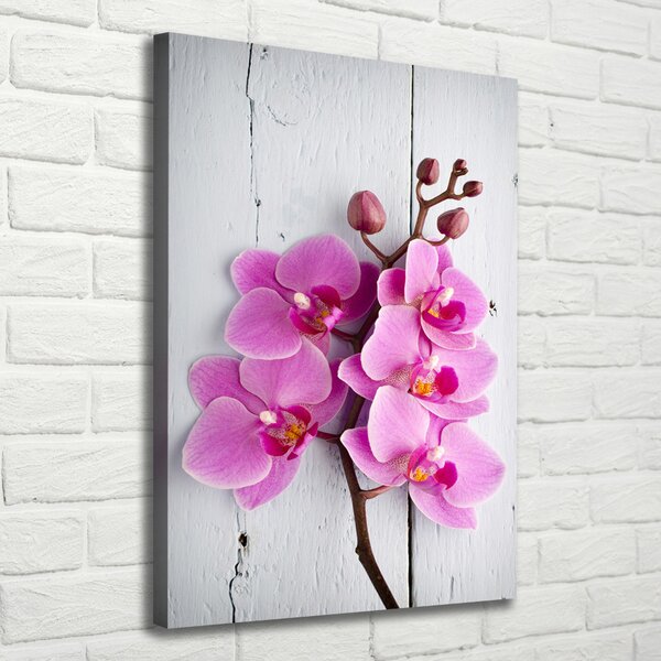 Vászonkép nyomtatás Rózsaszín orchidea