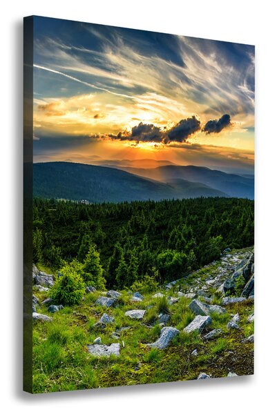 Feszített vászonkép Panoráma a hegyek