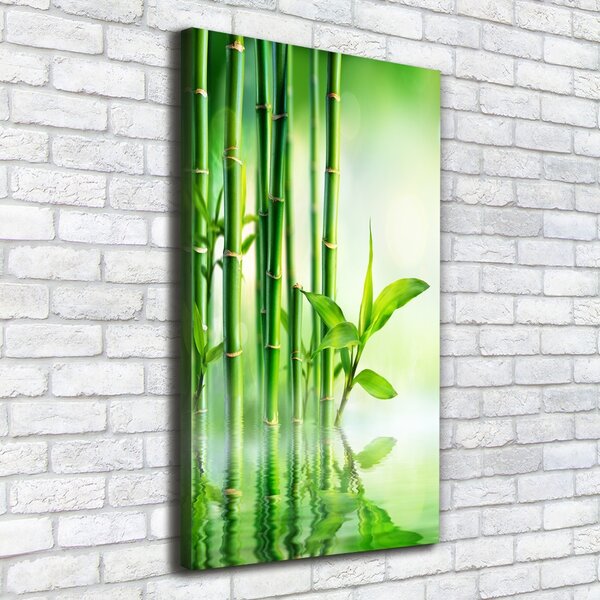 Vászonkép nyomtatás Bamboo vízben