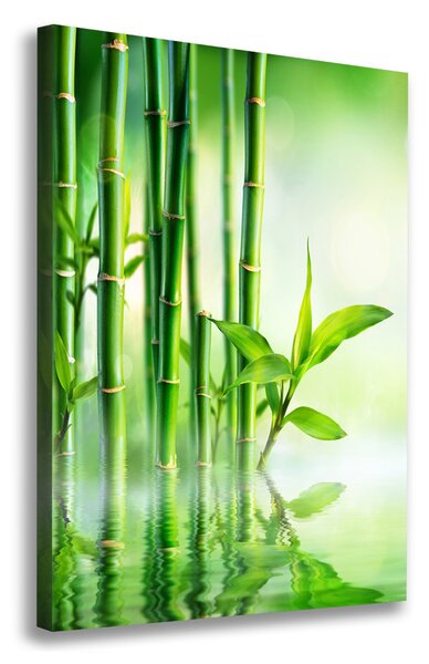 Vászonkép nyomtatás Bamboo vízben