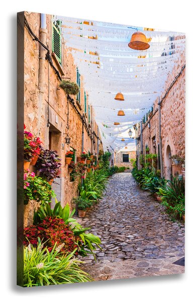 Vászonfotó Mallorca spanyolország