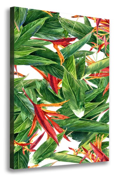 Egyedi vászonkép Strelitzia reginae