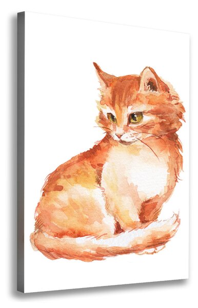 Vászonkép Red cat