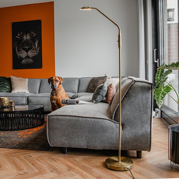Modern állólámpa bronz LED-del - Eva