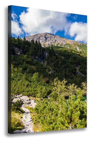 Feszített vászonkép Marine szem tatry