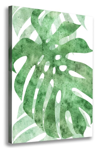 Egyedi vászonkép Monstera