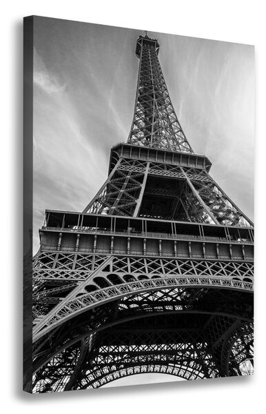Vászonfotó Párizsi eiffel-torony