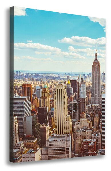 Vászonfotó New york-i járat madár