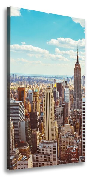 Vászonfotó New york-i járat madár