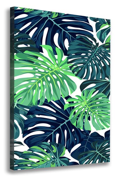 Egyedi vászonkép Trópusi levelek