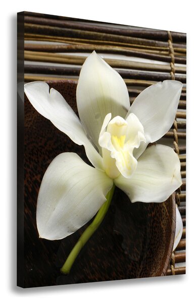 Vászonkép nyomtatás Orchidea