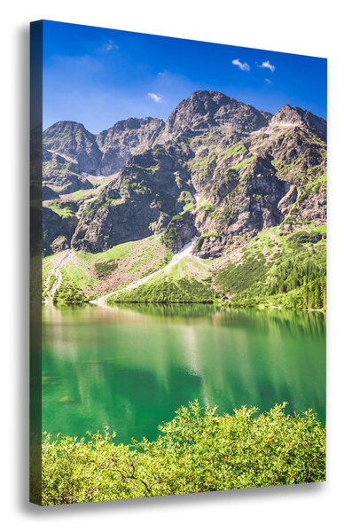 Feszített vászonkép Marine szem tatry