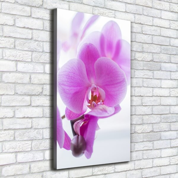 Vászonkép nyomtatás Rózsaszín orchidea