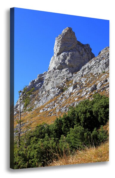 Feszített vászonkép Kis giewont tatra