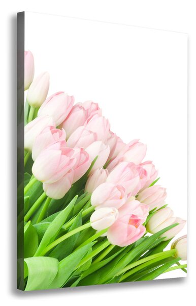 Vászonkép nyomtatás Rózsaszín tulipánok