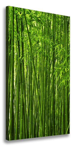 Vászonkép nyomtatás Bambusz erdő
