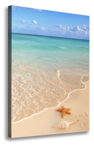 Feszített vászonkép Starfish a strandon