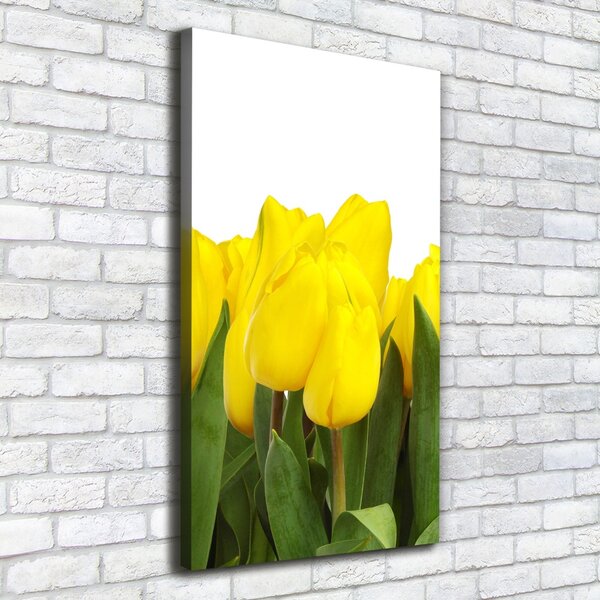 Vászonkép nyomtatás Sárga tulipánok