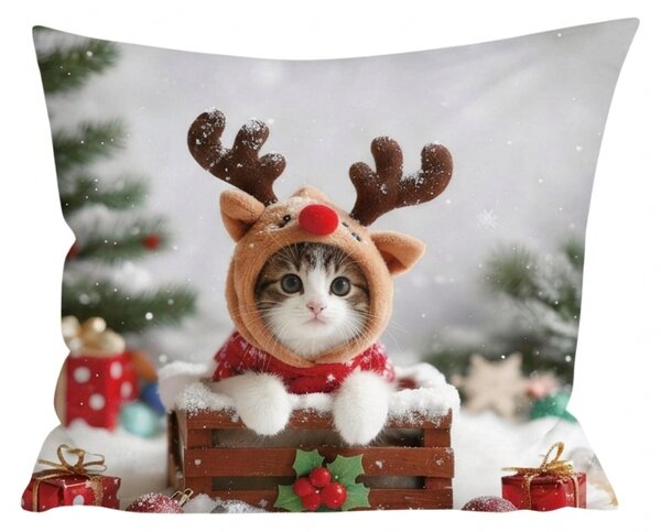 3D mikroszálas párnahuzat RUDOLPH KITTEN 45x45 cm, színes