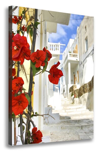 Vászonfotó Mykonos görögország