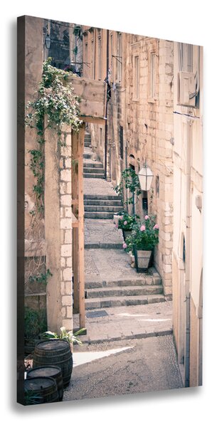 Vászonfotó Dubrovnik, horvátország