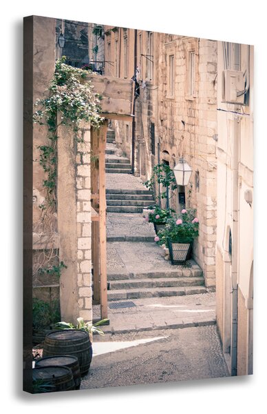 Vászonfotó Dubrovnik, horvátország