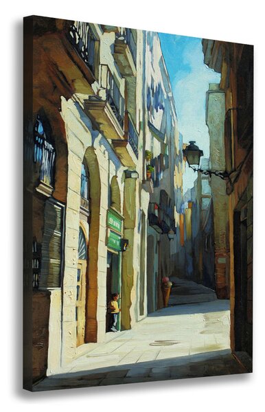 Vászonfotó Streets of barcelona