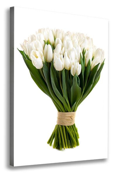 Vászonkép nyomtatás Fehér tulipán