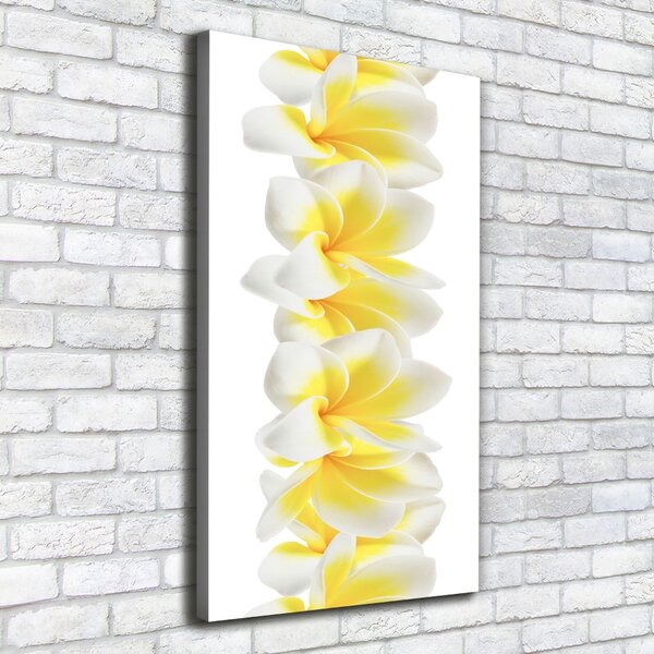 Vászonkép nyomtatás Plumeria