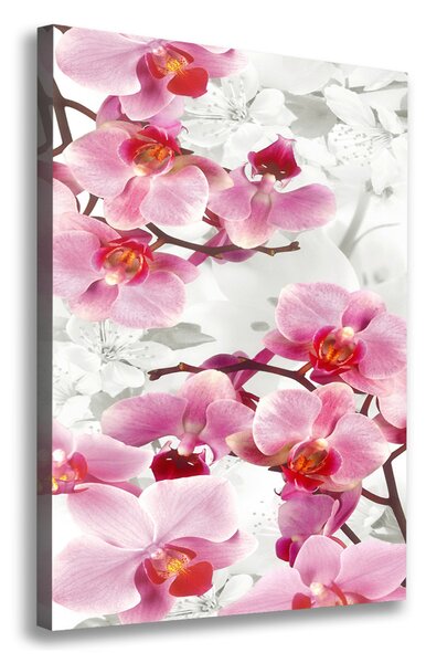 Vászonkép nyomtatás Rózsaszín orchidea