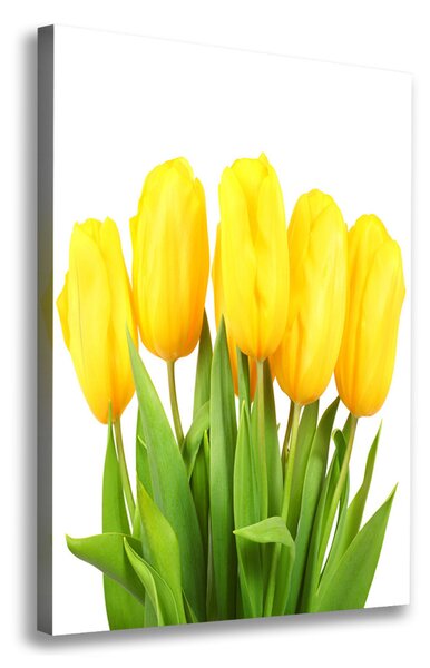 Vászonkép nyomtatás Sárga tulipánok