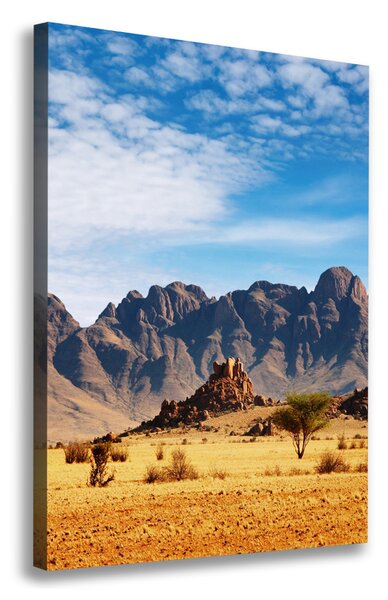 Vászon nyomtatás Desert namíbia