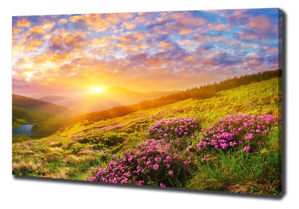 Feszített vászonkép Sunset hegy